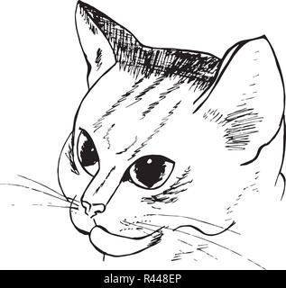 Black and white pattern of a cat. Hatching cat portrait. Stock Vector