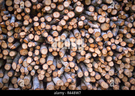 firewood pile stack of wood branch / dry chopped firewood logs background Stock Photo