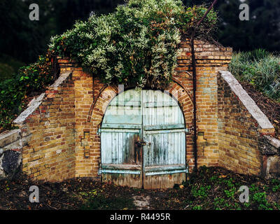 Ruins of old cellar in green forest. Crawl space with lock on shabby blue wooden door. Concept - entrance denied. Stock Photo