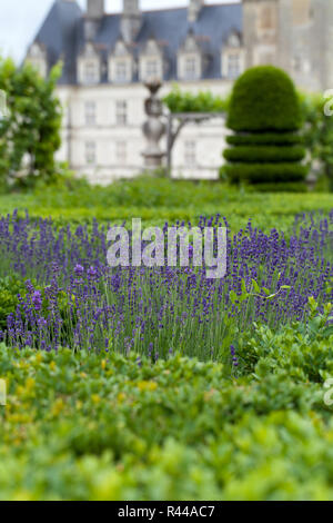 Gardens and Chateau de Villandry  in  Loire Valley in France Stock Photo