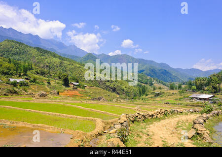 Sapa rice field and Fan Si Pan mountain on back, Vietnam Stock Photo
