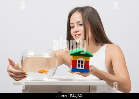 She knocks on the wall of the aquarium with goldfish and the other hand holding a toy house Stock Photo