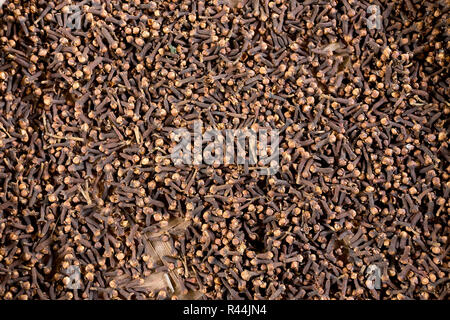freshly dryed clove spice Stock Photo