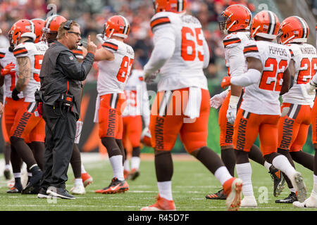 Cincinnati, OH, USA. 25th Nov, 2018. Cleveland Browns head coach Gregg Williams reacts after his defense allowed a touchdown in a game between the Cleveland Browns and the Cincinnati Bengals on November 25, 2018 at Paul Brown Stadium in Cincinnati, OH. Adam Lacy/CSM/Alamy Live News Stock Photo