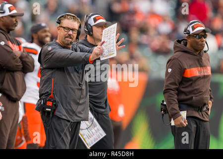 Cincinnati, OH, USA. 25th Nov, 2018. Cleveland Browns head coach Gregg Williams reacts in a game between the Cleveland Browns and the Cincinnati Bengals on November 25, 2018 at Paul Brown Stadium in Cincinnati, OH. Adam Lacy/CSM/Alamy Live News Stock Photo