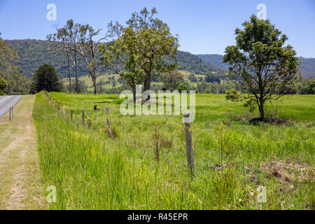 Countryside and nature of Springbrook national park in the Gold coast ...