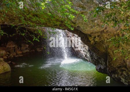 Natural bridge rock formation and waterfall in Springbrook national park,Gold Coast hinterland,Queensland,Australia Stock Photo