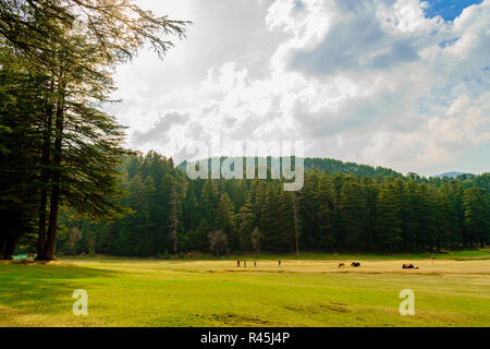 Khajjiar Lake- The 'mini' Switzerland of India Stock Photo