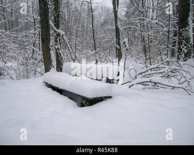 Bench covered in deep white snow surrounded by a forest of frozen trees Stock Photo