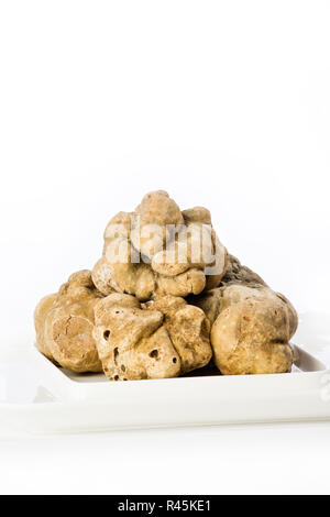 Many white truffles from Piedmont on ceramic plate Stock Photo