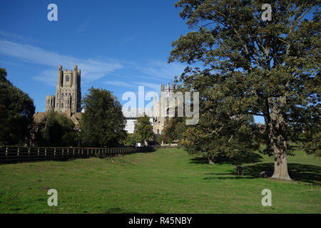 View of Ely Cathedral from Cherry Hill Park, Ely, Cambridgeshire Stock Photo