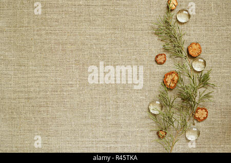 Canvas background with a thuja branches composition on the edge Stock Photo