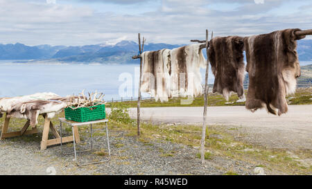 Reindeer fur and antlers at a souvenir shop in Lapland Stock Photo