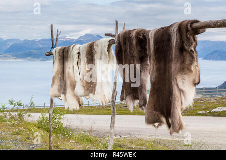 Reindeer fur at a souvenir shop Stock Photo
