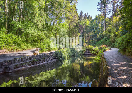 Pond in the Pena park in Sintra. Portugal Stock Photo