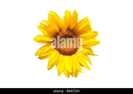 Stock Photo