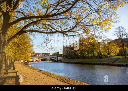 Autumn view of Lendal Bridge in York from the river bank.  The sun is low in the sky and the trees are shedding their leaves which are scattered on th Stock Photo