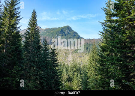 Distant mountain cores in mist in slovakia Tatra mountain trails in clear autumn day with blue sky and green vegetation Stock Photo