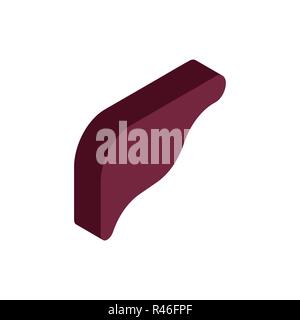 Liver isometric isolated. Internal organ 3D. anatomy of human body. Organs systems body Stock Vector