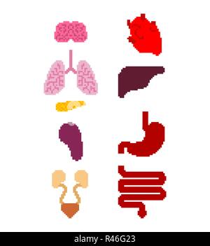 Internal organ pixel art set. 8 bit anatomy of human body. Heart and brain. Liver and stomach. Esophagus and pancreas. Kidney and spleen. Lungs. Syste Stock Vector