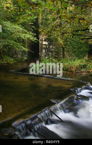 An early morning Autumn image depicting some of the old buildings and waterways in the old Gunpowder works, found at Kennall Vale Ponsanooth, Cornwall Stock Photo