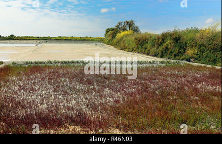 old basin for salt production in guÃ©rande by the atlantic ocean Stock Photo