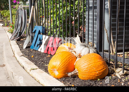 Pumpkins and Texas sign on the ground with a shovel next to a  fence in a farm Stock Photo