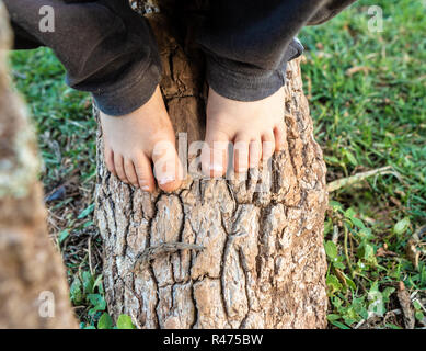 Close up of barefoot dirty child feet playing on the trunk of a tree. Stock Photo