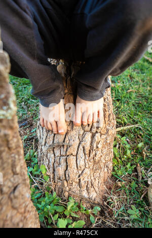 Close up of barefoot dirty child feet playing on the trunk of a tree. Stock Photo