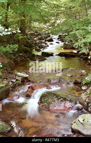 the river ilse the harz national park in ilsenburg Stock Photo