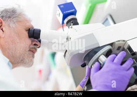 Senior scientist  microscoping in lab. Stock Photo