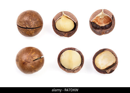 Shelled and unshelled macadamia nuts isolated on white background. Top view. Flat lay pattern. Set or collection Stock Photo