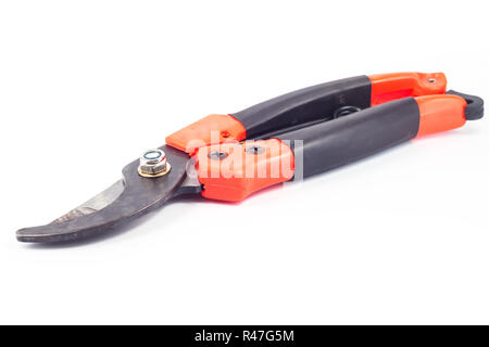 Pruner isolated on white background Stock Photo