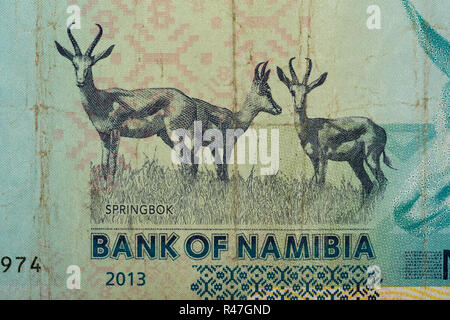 Detail of 10 Namibian dollars banknote Stock Photo