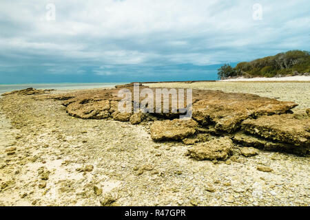 Lady Musgrave Island Stock Photo