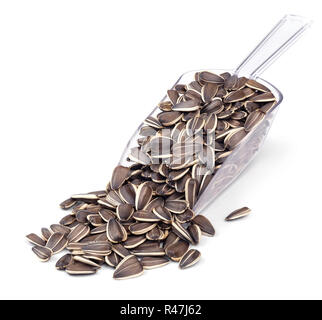 Download Sunflower Seeds In Transparent Plastic Bag Isolated On White Stock Photo Alamy PSD Mockup Templates