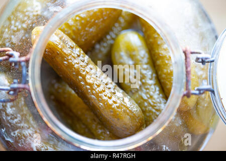 Traditional polish pickled gherkins in a canned jar, which are fermented small pickles made with salt, garlic, horseradish and dill Stock Photo