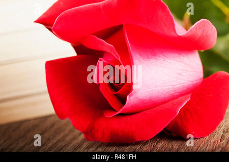 Rose and book Stock Photo