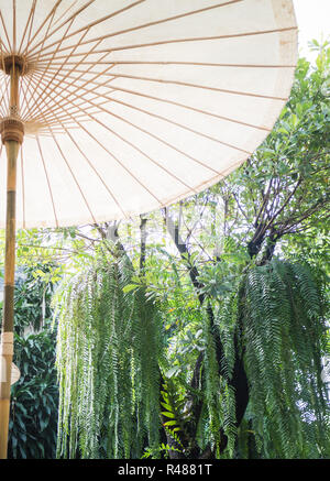 Vintage outdoor cotton umbrella with wooden spokes Stock Photo