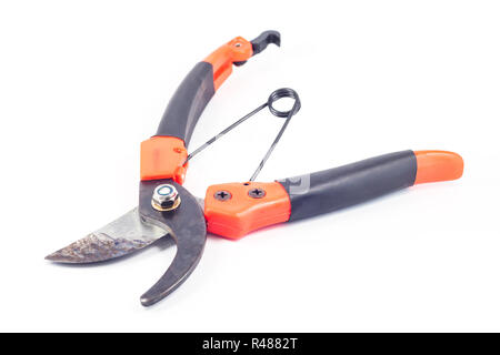 Pruner isolated on white background Stock Photo