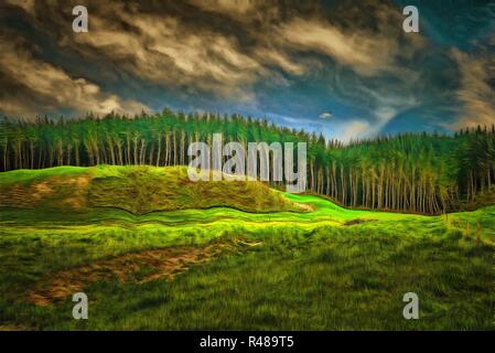 A lush green meadow with dark pine forest in the background under a colorful sky Stock Photo
