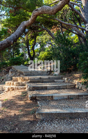 Old staircase and surrounding vegetation in Dubrovnik. Croatia. Stock Photo