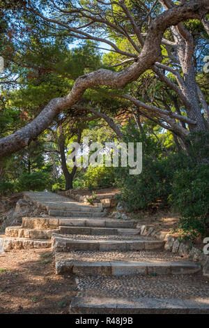 Old staircase and surrounding vegetation in Dubrovnik. Croatia Stock Photo