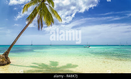 palm on the sandy beach with fishing boat Stock Photo