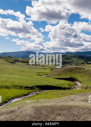 Drought level creek bed runs through green foothills in Northern California Stock Photo
