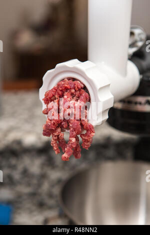 homemade ground beef (minced beef) being prepared in a home kitchen Stock Photo