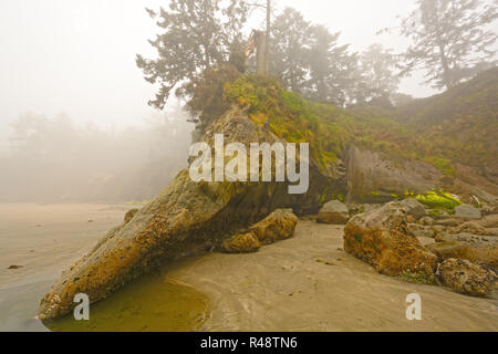 Fog and Mist on a Rocky Coastline Stock Photo