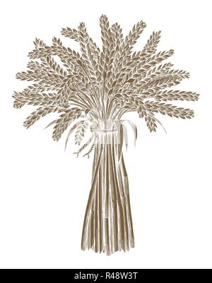 Vintage line art wheat farm agriculture logo inspiration, botanic ...