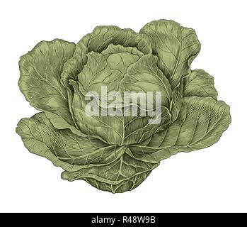Cabbage hand drawing vintage engraving illustration Stock Vector