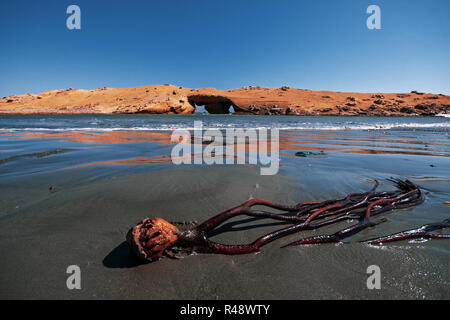 Exotic sand beach with an element in front on a sunny day Stock Photo